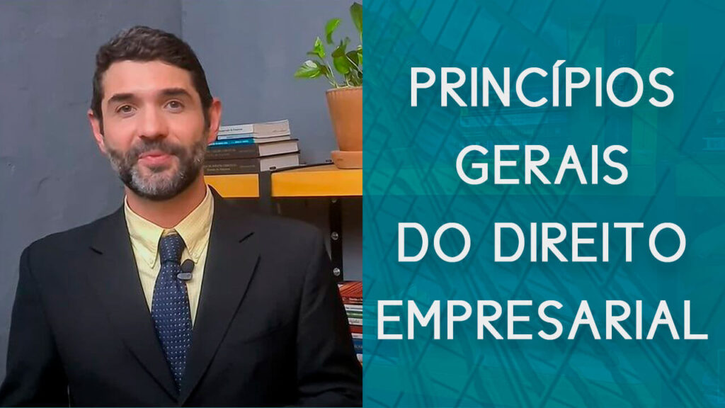 Princípios Gerais do Direito Empresarial | Hernandez Perez Advocacia Empresarial